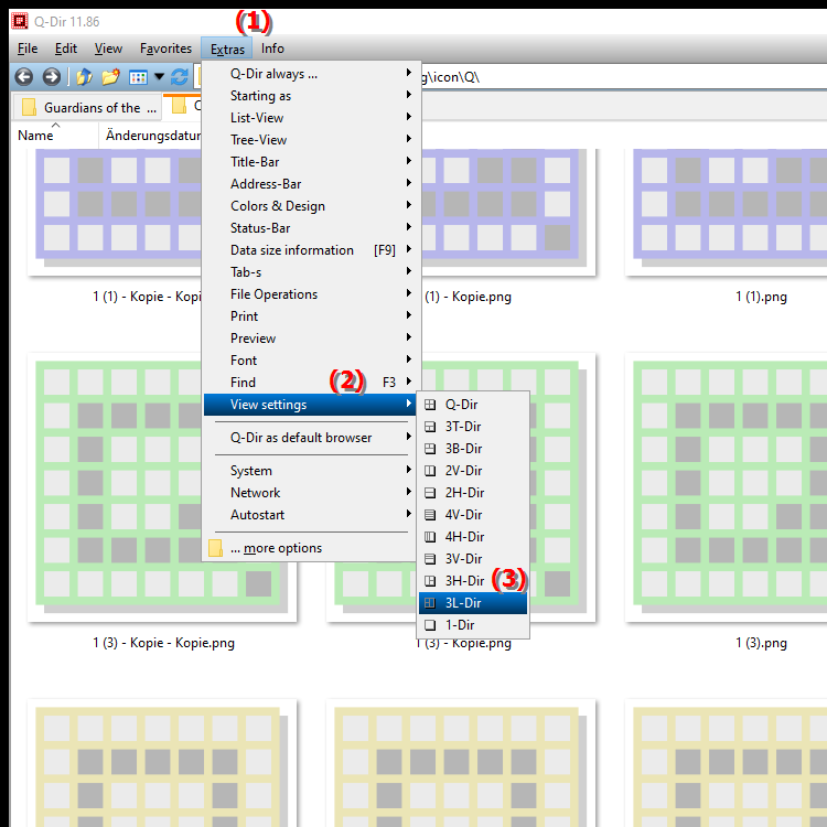 What does the 3L Dir view in Quad File Explorer offer